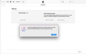 iTunes Recovery Screen